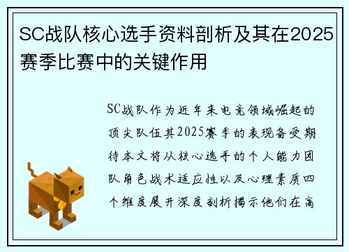 SC战队核心选手资料剖析及其在2025赛季比赛中的关键作用